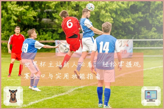 世界杯主站新人必看：轻松掌握观赛入口与实用功能指南