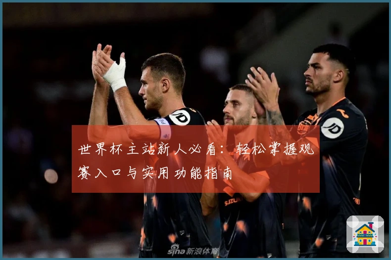 世界杯主站新人必看：轻松掌握观赛入口与实用功能指南