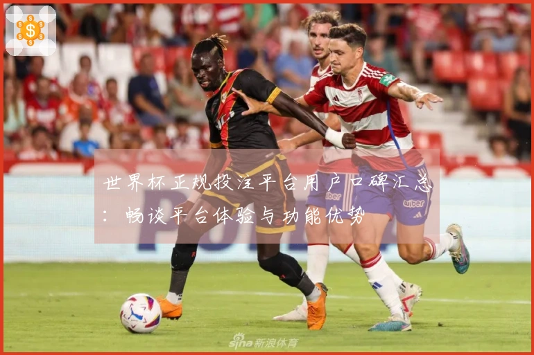 世界杯正规投注平台用户口碑汇总：畅谈平台体验与功能优势