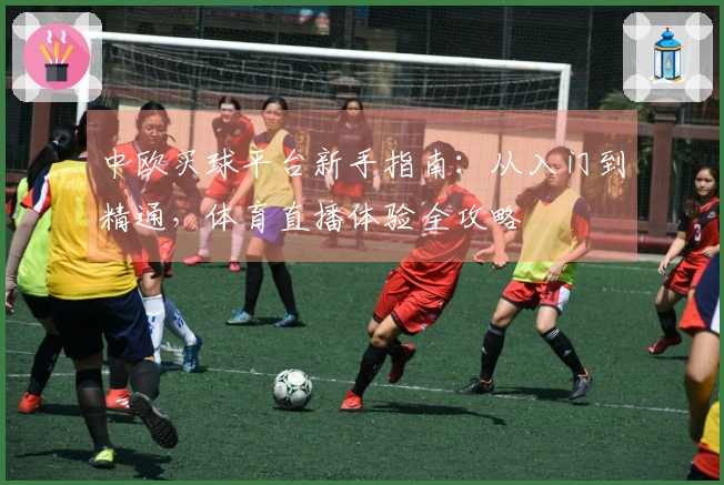 中欧买球平台新手指南：从入门到精通，体育直播体验全攻略