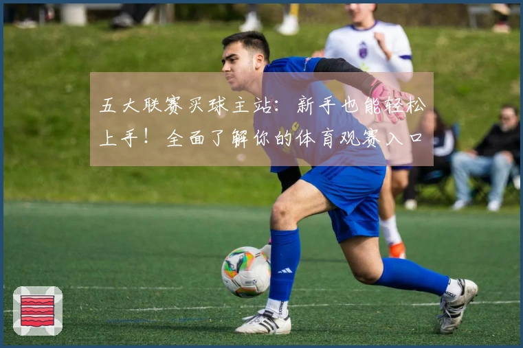 五大联赛买球主站：新手也能轻松上手！全面了解你的体育观赛入口