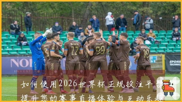 如何使用2026世界杯正规投注平台提升您的赛事直播体验与互动乐趣