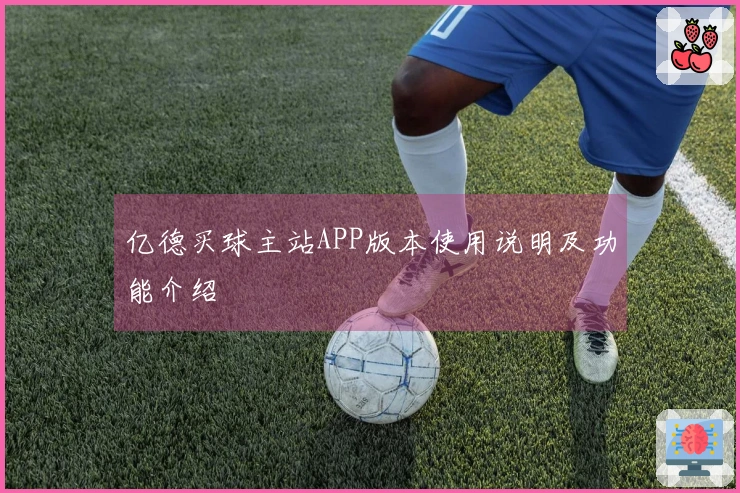 亿德买球主站APP版本使用说明及功能介绍