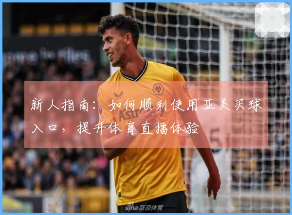 新人指南：如何顺利使用亚美买球入口，提升体育直播体验