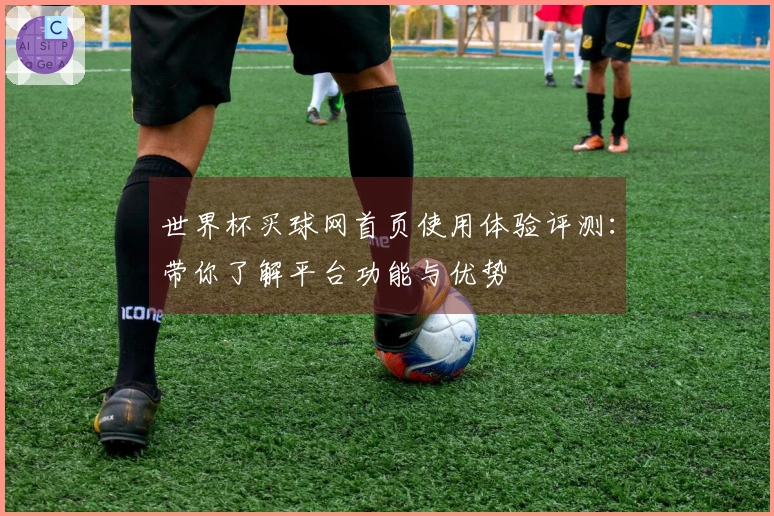世界杯买球网首页使用体验评测：带你了解平台功能与优势