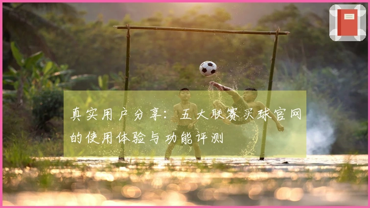 真实用户分享：五大联赛买球官网的使用体验与功能评测