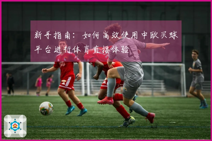 新手指南：如何高效使用中欧买球平台进行体育直播体验