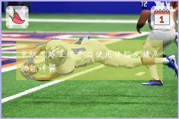 中欧买球正规平台使用体验反馈及功能详解